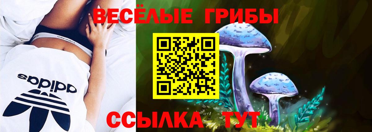 Псилоцибиновые грибы ЛСД  Вход с VPN  Галлюциногенные грибы Psilocybine cubensis  Уварово 